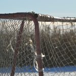 Minnesota Wild – Arizona Coyotes Feb 7 05:00 – Hockey.  1.65